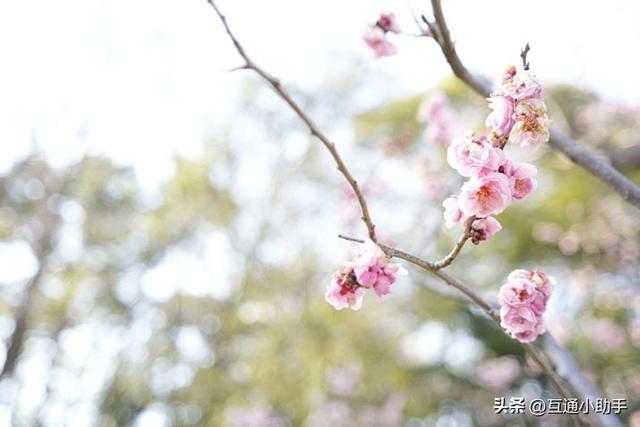 腾龙“20-40mm F/2.8 Di III VXD”镜头评测!
