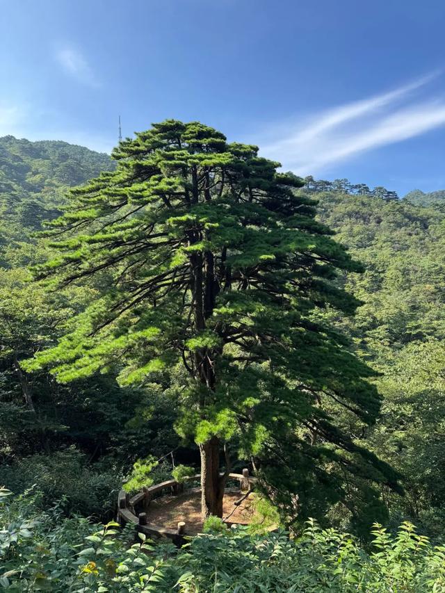 徒步三山五岳：安徽黄山！