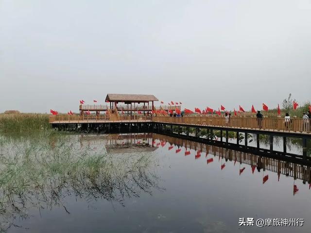 芦苇荷花共绘诗意画卷，渔舟唱晚风景醉人心田。