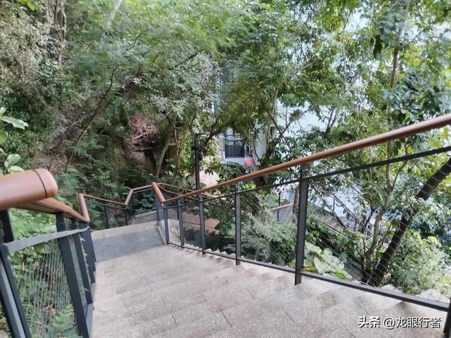 从地铁口出发，游逛刚刚开放的鲲鹏径二号及三号桥