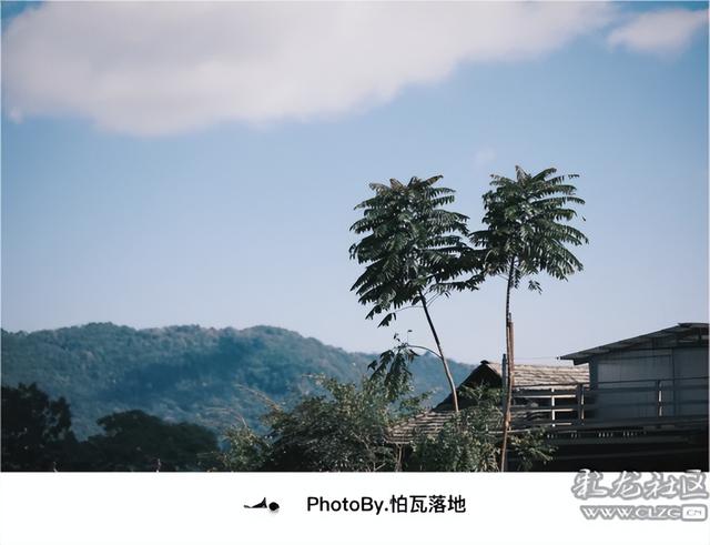 景迈山｜糯干古寨、翁基古寨、千年茶林