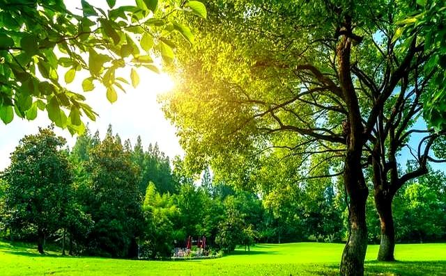 两性关系：你懂什么叫“人过五十五，雌雄不再殊”吗？不妨来看看