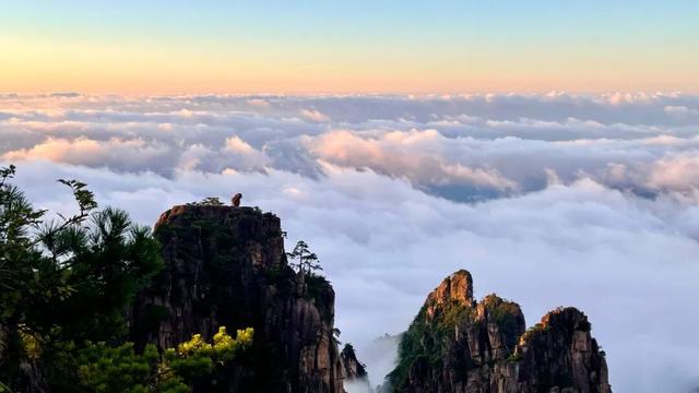 黄山景观故事：猴子观海 | 皖美冬日 | 第十五届安徽国际文化旅游节