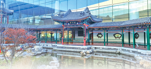 入境游客点赞：北京大兴机场服务很贴心！