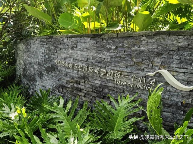 晚霞姐带你探寻海南的真实面貌——写于台风“剑鱼”过境之后