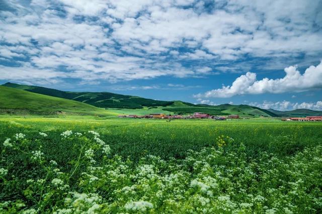 8月可以去哪儿旅游？