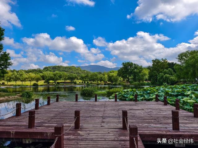中山陵畔藏绿意：博爱园里，读懂 “天下为公” 的城市温度