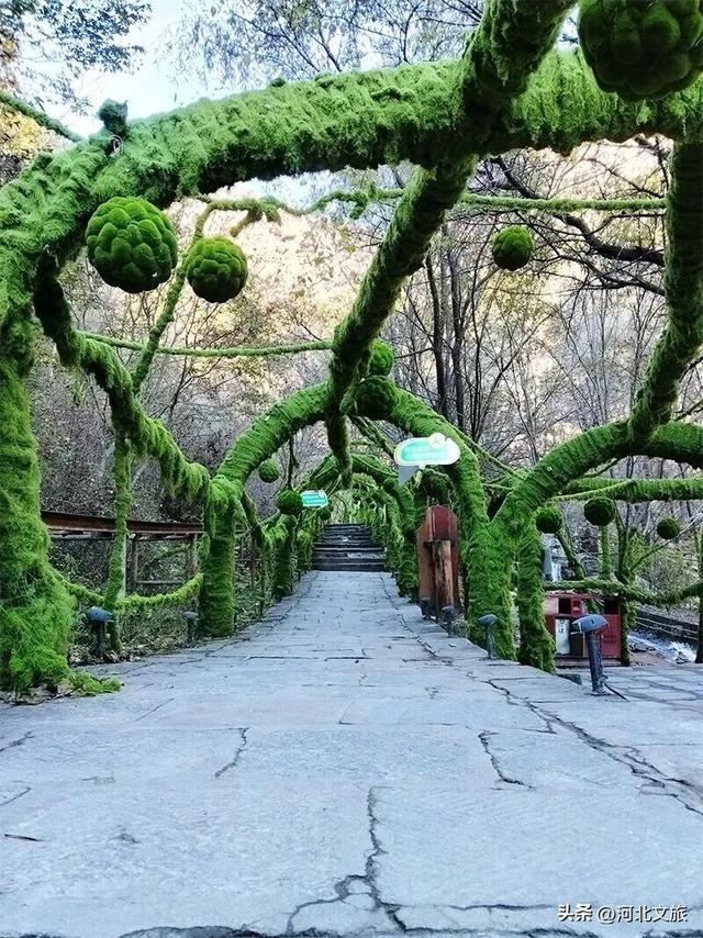 秋日必冲的保定“天然氧吧”出炉，每个都是国家级秘境