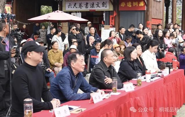 七仙女杯2025黄梅戏戏迷大赛（桐城站）开赛