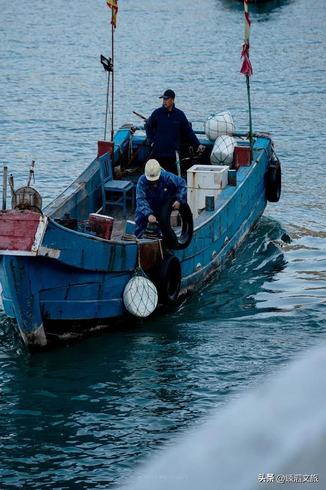 就在嵊山岛!多彩冬日,非拍不可了!