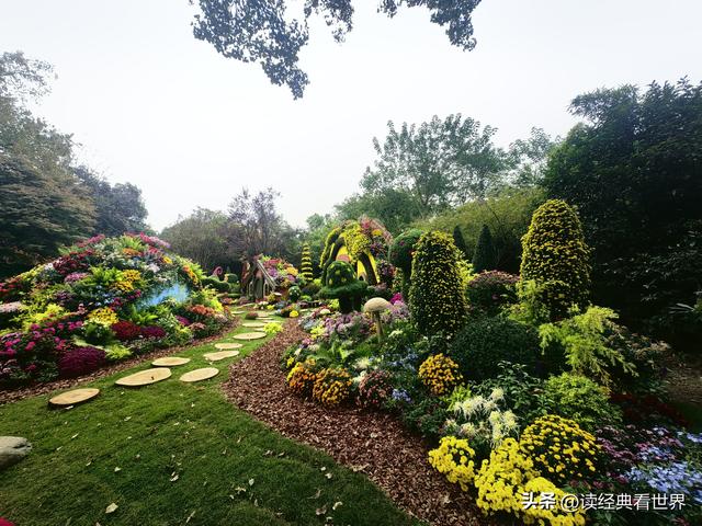 杭州植物园的菊花展——一场关于菊花的饕餮盛宴（二）