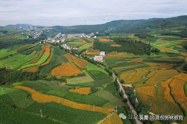 曲靖风物特产合集