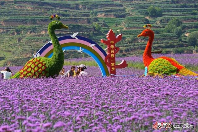 通化镇第一届文化旅游节暨乡村新风行动开幕式举办