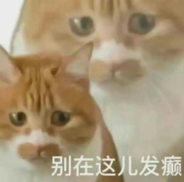 Share｜沙雕表情包11.02