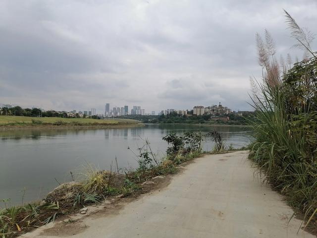 双流／华阳／仁寿苏码头历史资料