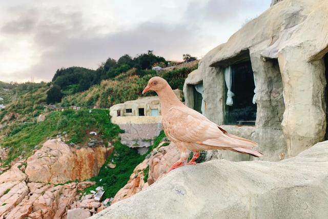 浙江温州“最低调”的海岛,名气虽不及东极岛,但景色丝毫不逊色