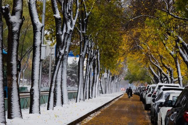 “最怕小雪是晴天”，今日小雪，晴天有啥预兆？看看农谚咋说