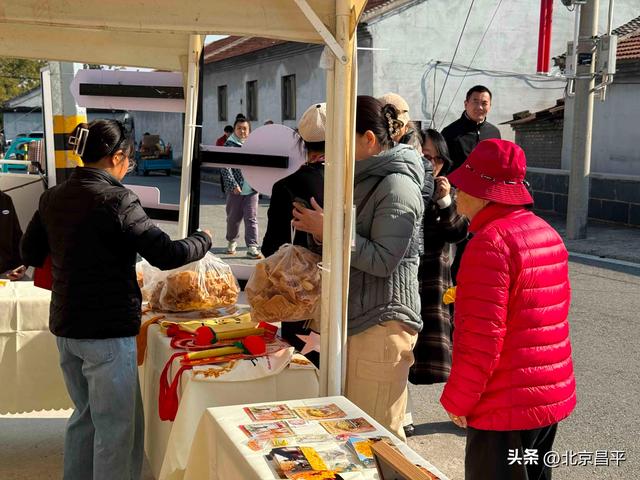 千年银杏“黄金周”开启！花塔村赏秋正当时