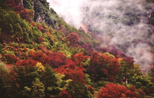 文成“自驾版”手绘地图上线！