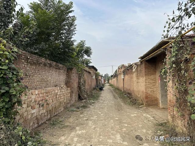 冠县乡韵·桑阿镇轧庄