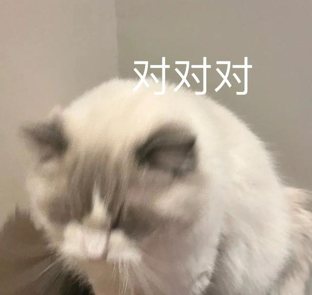 重庆的避暑大军开始攻打黄水了！大街上都是人山人海