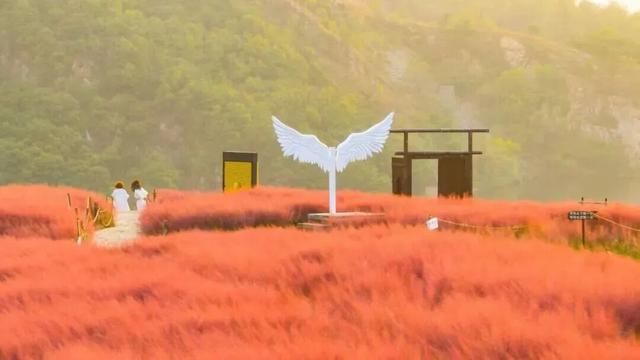 金普居然藏着这么美的公路！总台记者也来打卡拍摄