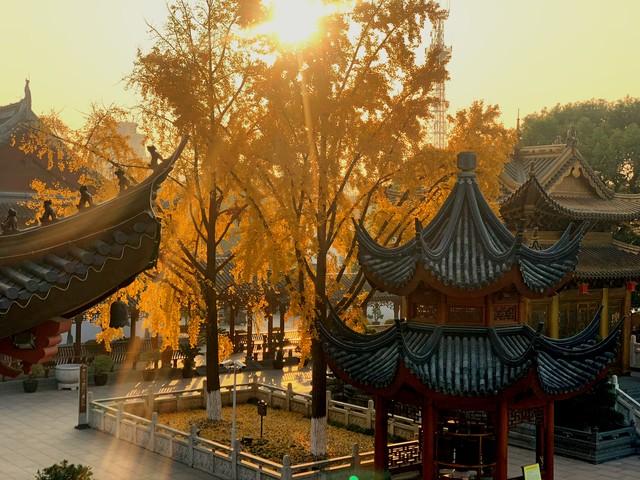 东林寺的秋色，渲染了古寺鎏金，照见一叶一红一禅心