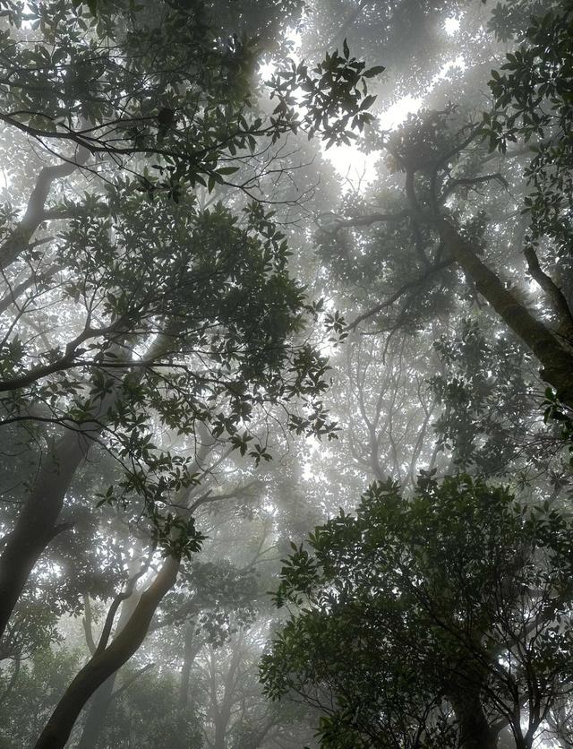 山上为什么会有流不完的水？是山顶一直在下雨吗？