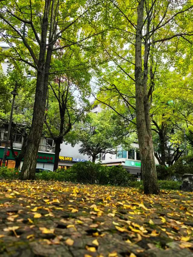 桂林:最是初冬晴午后!