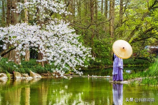 杭州的春天原来这么美，推荐这样玩！