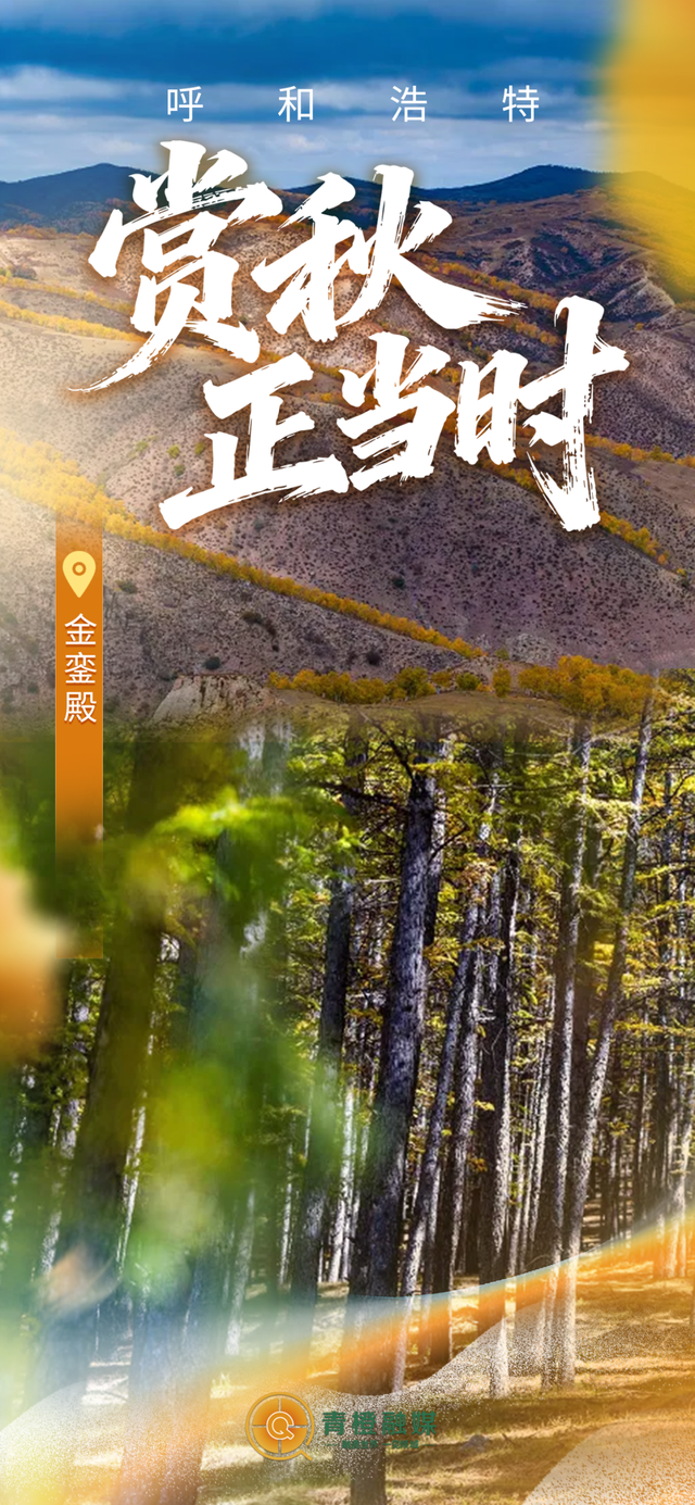 呼和浩特“换装”！限定“惊喜”来了！