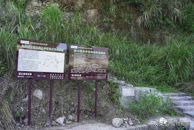 楠溪江这个冷门的秀美村庄,秘藏着一条风光旖旎的小众古道