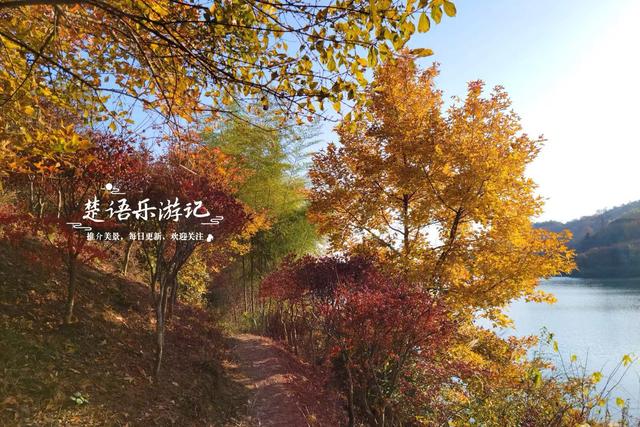 宁波这处秋色又到最美时刻，4条古道串联起近10个村庄，值得推荐