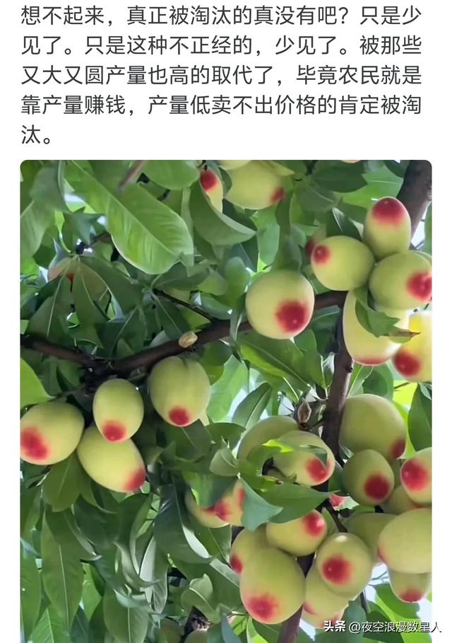 原来水果也会被时代淘汰，网友:真是活久见，有些还是防晕车神器