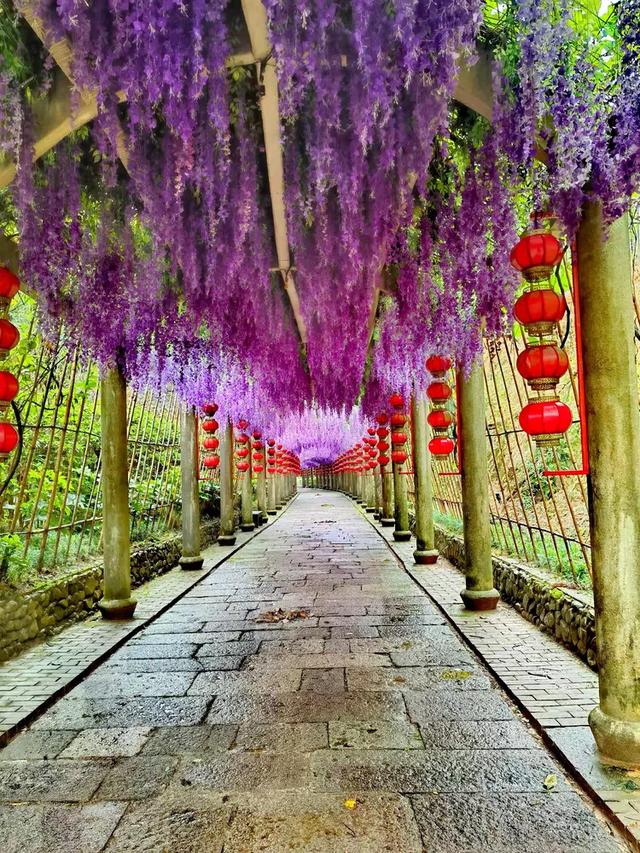 相约在湖州,相聚在梦萦——记原福空医院老战友2025年湖州行