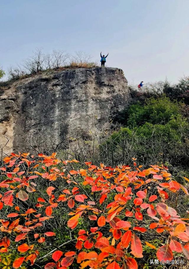 初冬“调色盘”已上线！古林坪红叶进入最佳观赏期，快来打卡！