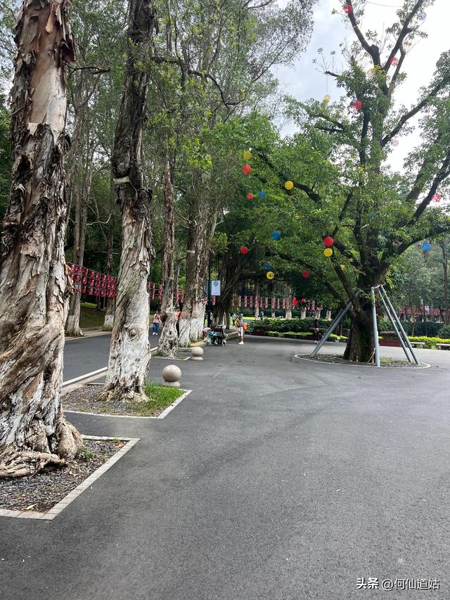 节日里的白云山