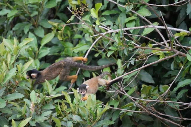 一生一次，2027年出发！41天南极半岛包船登陆，南美4国狂野自驾