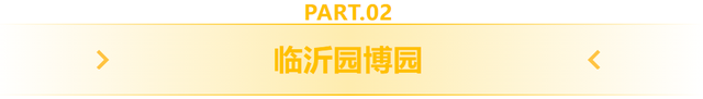 临沂此处天地一色，快来赴一场与金黄的约会吧！