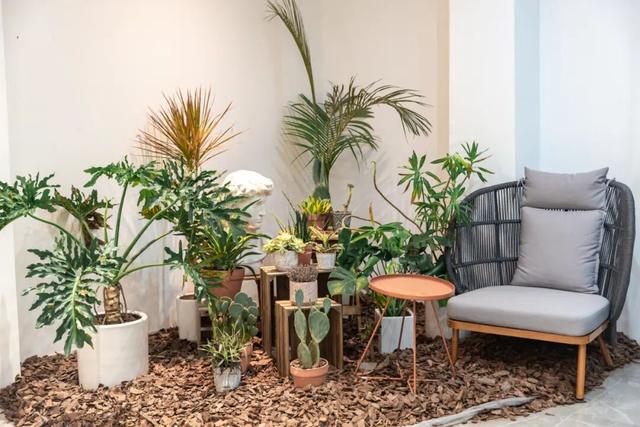 出片又治愈！跟着「书店漫游指南」打卡番禺阅读秘境