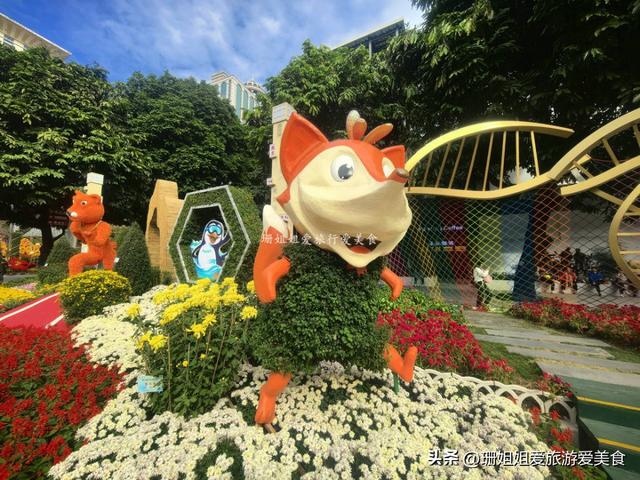 广州文化公园66届菊展，藏秋冬浪漫气息，延续全运会风情，免费