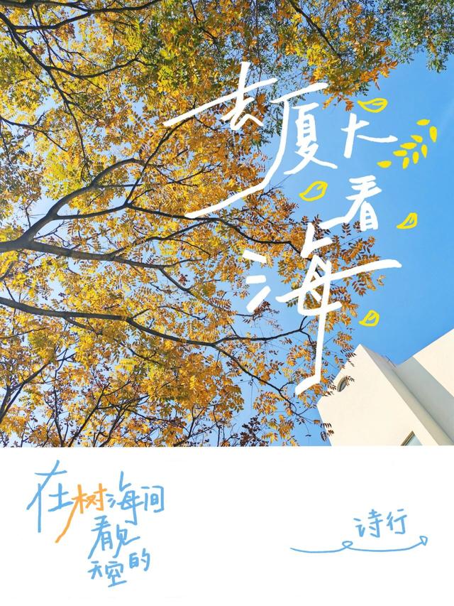 走！去厦大看海！