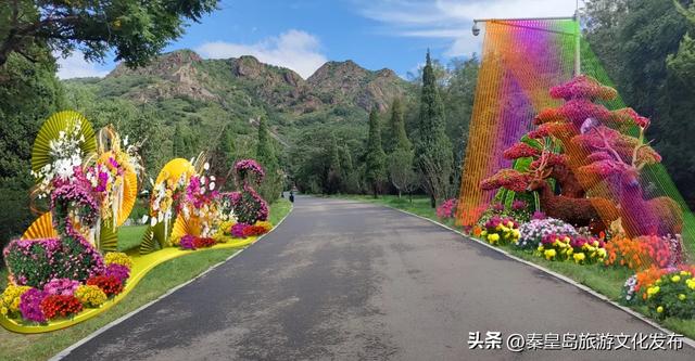 山海关长城金秋菊展即将启幕，精彩抢先看！