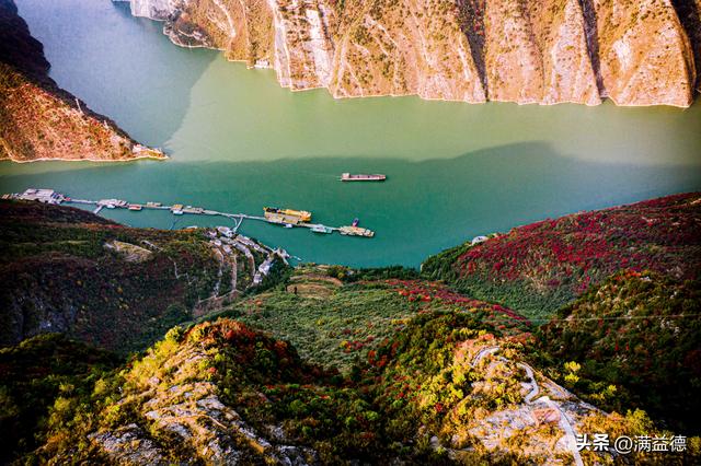 冬日巫山：红叶浸透风骨，江山如画