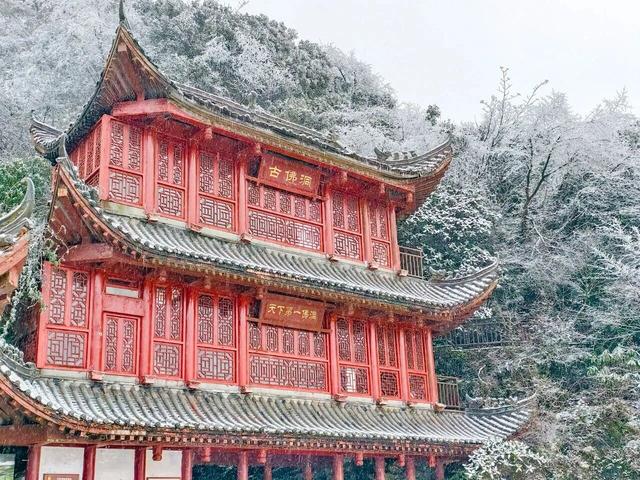 金佛山下雪❄️啦！秒变冰雪仙境
