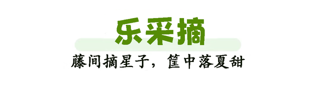 暑假过半还没玩？济南这个神仙地儿现在去刚刚好！