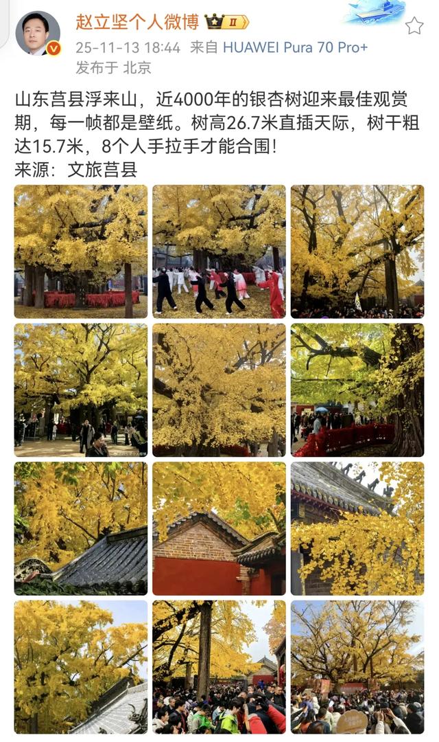 连发两篇!赵立坚推介日照这一美景:每一帧都是壁纸!