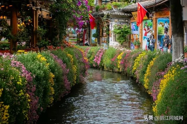 双节同庆·畅游丽江 | 这份文旅盛宴指南请收藏！