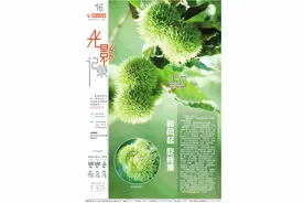 光影记录 | 秋风起 吃板栗图片