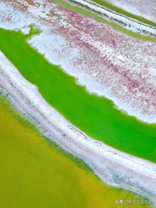 低调的财富绿洲：解锁鄂尔多斯的秘境之旅